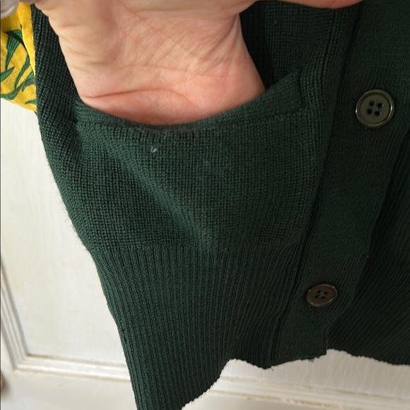 Free People Sandrine Rose original - Dark Green Grandpa Sweater - Picture 6 of 8